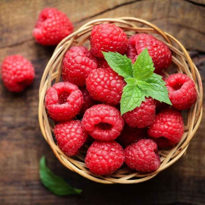 Color que alimenta: la ciencia detrás del potencial de las antocianinas para la alimentación y la salud