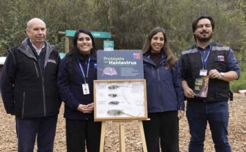 Hanta: siete de cada diez casos han contraído la enfermedad en actividades domésticas en sus domicilios