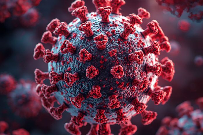 Investigadores de los NIH identifican anticuerpos poco comunes con potencial para combatir el síndrome alfa-gal.