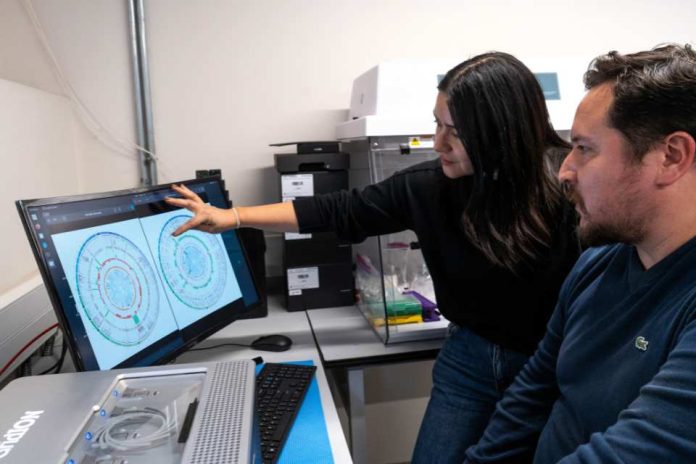 Investigadores detectan diferencias en tumores chilenos que las referencias genómicas internacionales no siempre capturan