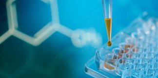 SOLAIC impulsa un nuevo puente científico para fortalecer la oncología clínica en Latinoamérica, Iberoamérica y el Caribe