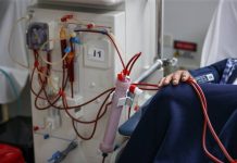 Un riñón de cerdo permite a un paciente dejar la diálisis durante nueve meses hasta recibir un órgano humano