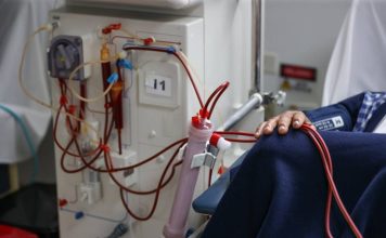 Un riñón de cerdo permite a un paciente dejar la diálisis durante nueve meses hasta recibir un órgano humano
