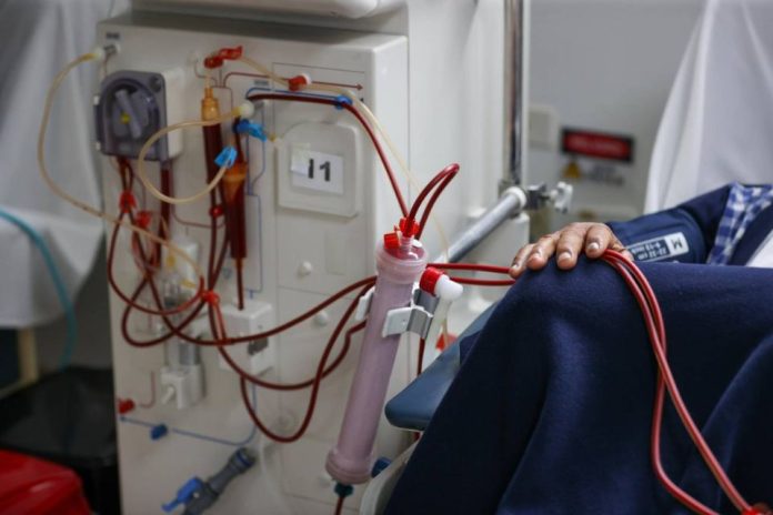 Un riñón de cerdo permite a un paciente dejar la diálisis durante nueve meses hasta recibir un órgano humano