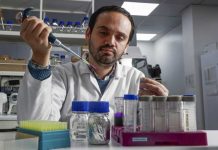 Reportaje | El «talón de Aquiles» del cáncer: científicos chilenos descubren cómo desarmar una molécula clave en tumores de estómago y mama Reportaje | El "talón de Aquiles" del cáncer: científicos chilenos descubren cómo desarmar una molécula clave en tumores de estómago y mama
