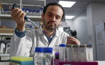 Reportaje | El «talón de Aquiles» del cáncer: científicos chilenos descubren cómo desarmar una molécula clave en tumores de estómago y mama Reportaje | El "talón de Aquiles" del cáncer: científicos chilenos descubren cómo desarmar una molécula clave en tumores de estómago y mama