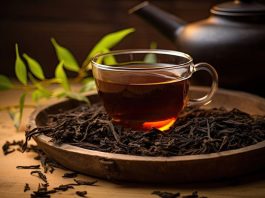 ¿El té Pu Erh puede realmente “quemar grasa”? La evidencia detrás de una de las bebidas más famosas