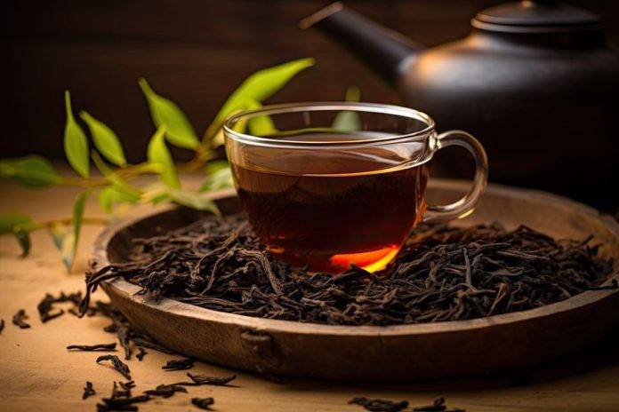 ¿El té Pu Erh puede realmente “quemar grasa”? La evidencia detrás de una de las bebidas más famosas