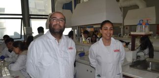 Alergias de primavera: mitos y riesgos de la automedicación Alergias de primavera: mitos y riesgos de la automedicación