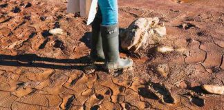 Barro y aguas contaminadas tras un aluvión cómo proteger la salud durante la limpieza
