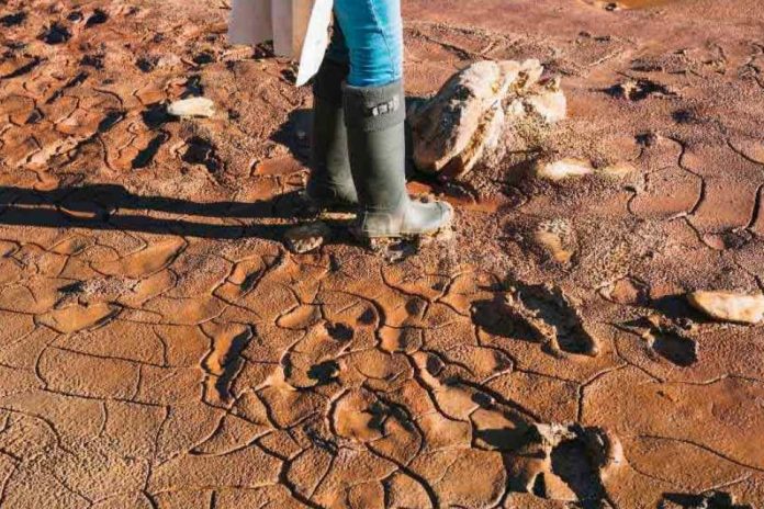Barro y aguas contaminadas tras un aluvión cómo proteger la salud durante la limpieza
