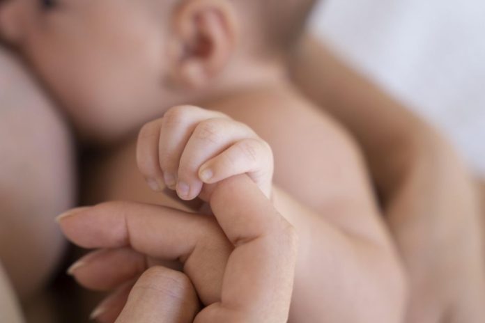 Clínica de Lactancia Materna UDP ofrecerá asesorías gratuitas a mujeres y personas gestantes