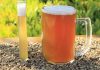 De residuo cervecero a ingrediente funcional: estudio explora su potencial para la salud intestinal