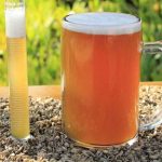 De residuo cervecero a ingrediente funcional: estudio explora su potencial para la salud intestinal