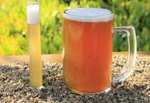 De residuo cervecero a ingrediente funcional: estudio explora su potencial para la salud intestinal