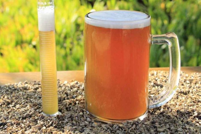 De residuo cervecero a ingrediente funcional: estudio explora su potencial para la salud intestinal