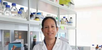 Estudio plantea que la fibra en la dieta podría reducir el impacto del alcohol sobre el cerebro Estudio plantea que la fibra en la dieta podría reducir el impacto del alcohol sobre el cerebro