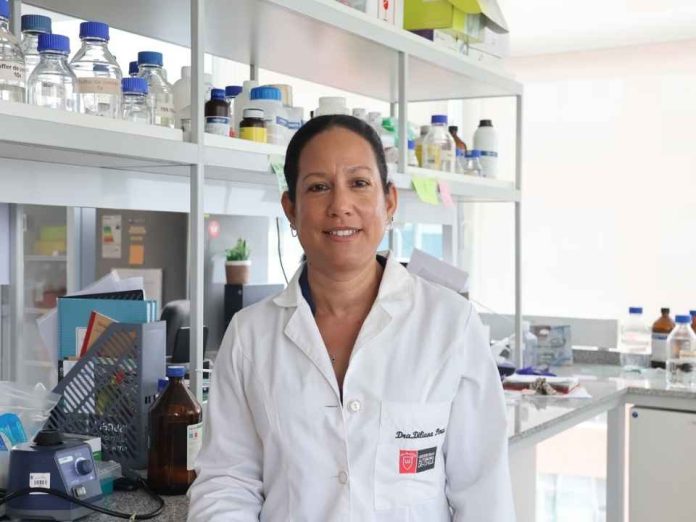 Estudio plantea que la fibra en la dieta podría reducir el impacto del alcohol sobre el cerebro Estudio plantea que la fibra en la dieta podría reducir el impacto del alcohol sobre el cerebro