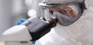 Europa se suma a vigilancia de peste neumónica en Siberia Europa se suma a vigilancia de peste neumónica en Siberia