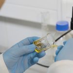 USM desarrolla parche de nanofibras con miel de ulmo para regenerar heridas