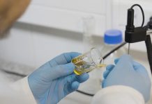 USM desarrolla parche de nanofibras con miel de ulmo para regenerar heridas