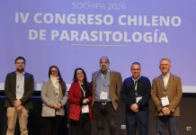 Una Salud: Congreso internacional en la UOH abordó los desafíos sanitarios y ambientales en parasitología Una Salud Congreso internacional en la UOH abordó los desafíos sanitarios y ambientales en parasitología